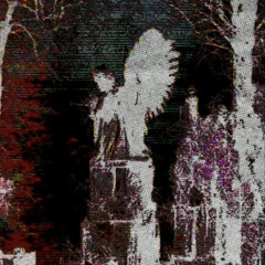 Take this bitch to the ground