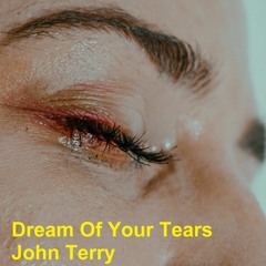 Dream Of Your Tears