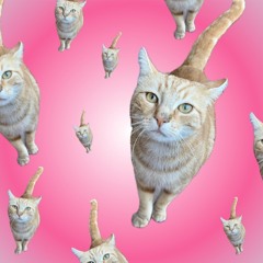 HARDCORE SET AT DOUBLE CUP XII