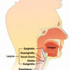 Tonsillitis treatment Tampa