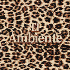 El Ambiente