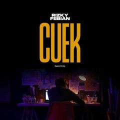 Cuek - Rizky Febian (Cover)