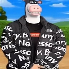 Barnyard Squabble