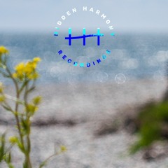 HH monthly selection mixtape @IDA Radio Nov-2022