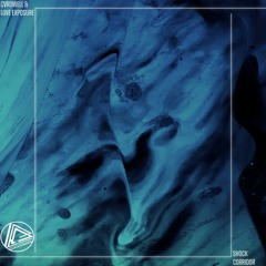 PD009 // CVRDWELL & Love Exposure - Shock Corridor