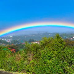 Surrender to the Light of the Rainbow