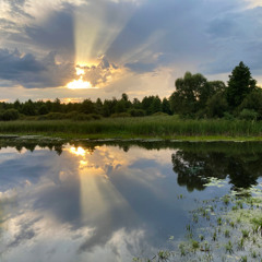 Evening Sunlight