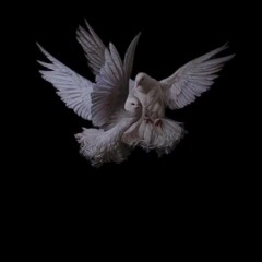 8 LETTRS ( ZON X CLVN X FEBRUZA ) #WALAWEAMAZING