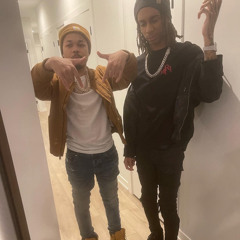 bloodhound jeff x q50 Bh4l