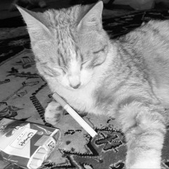 Remix Zang Aval Asayeshgah (ali sorena / tataloo / pishro / saee / yas / ... remix Rap / rimix dep )