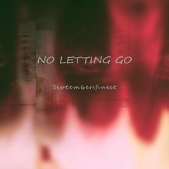 NO LETTING GO - WAYNE WONDER( Jersey Club )