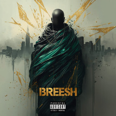 Breesh ft. Dizzy😵‍💫