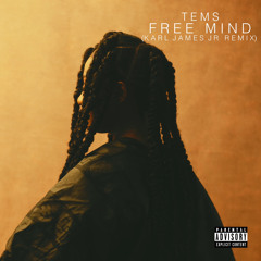 Tems - Free Mind (Mashup)