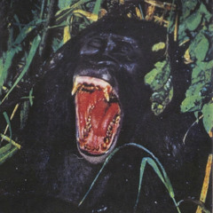 TIRED STUDIO RUFF MIX V3 [2021] (prod. MUHAMMAD)