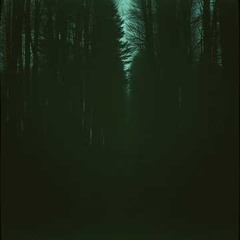 Shadows We Leave Behind