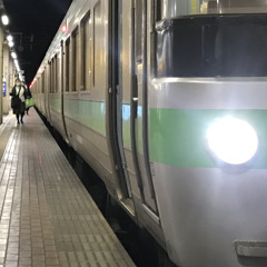 道にかなっちゃいそう