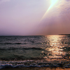 La Vie En Rose - Demo