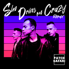Fine Young Cannibals - She Drives Me Crazy (Patch Safari remix)