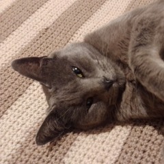 Lunar Diamante. pt2 #JerseyClub