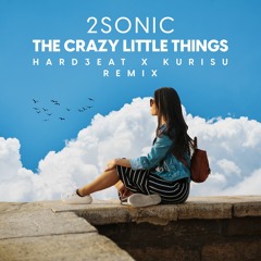 2Sonic - Crazy Little Things (Hard3eat X Kurisu Remix) (FREE DOWNLOAD)
