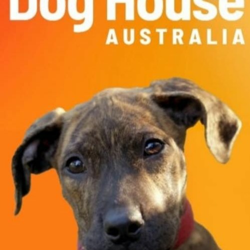 Stream Watch The Dog House Australia Season 3 Episode 4 FullEpisode by
