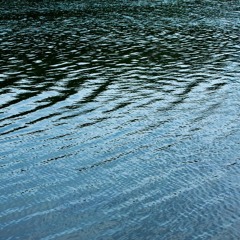 ARP2500 - Dec. 18, 2024 - New Haven, CT