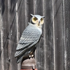 FUTURE K.DOT DOOM.m4a