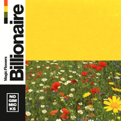 Magic Flowers - Billionaire (FREE DL)