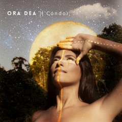 Condor  (Moshe Halperin/  Katy Prado)