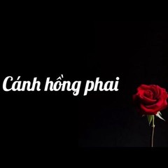 Cánh hồng phai - Guang