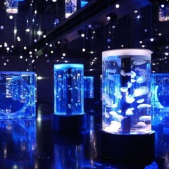 🌬🍃 calm musics °•☆•°