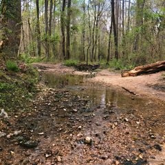 i used to question my existence, but now i question what comes after (ASTRAL)