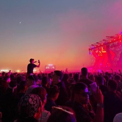 Festival Season 🤌🏼
