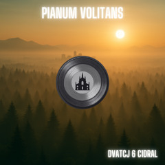 Pianum Volitans