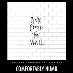 Pink Floyd - Comfortably Numb (Cristian Cabrera Dj Criss Edit)