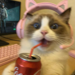 Reality [Progressive House]