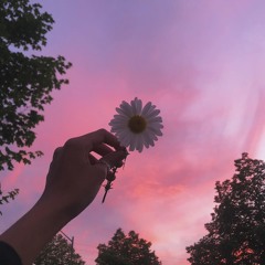 encyclopedia astrologicca