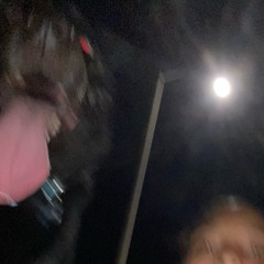 scrappydoo