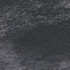 Cello - spring 2025