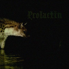 souljahwitchs faith (out now everywhere)