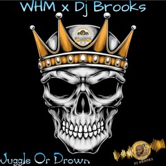 WhiteHouse Movement x Dj Brooks - Juggle Or Drown