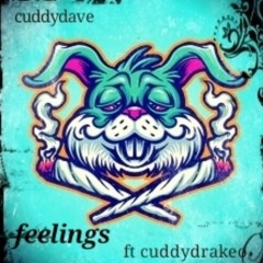 Feelings (Ft. Cuddydrakeo )