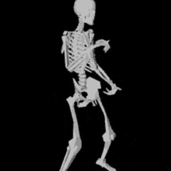 DOMESTICATION THEORY