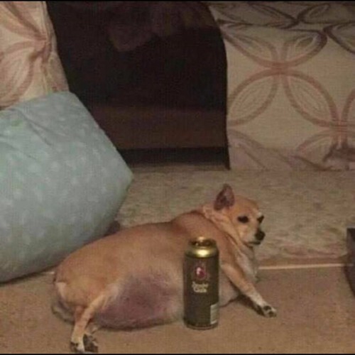 REEDY - Drum and Bass mix - 2021