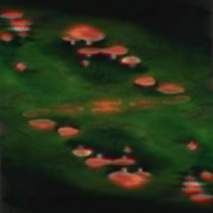 <;**o((((  ፀሐይ ተሄደች፤እዚህ ዶን ኪኾቴ ለዱልሲኒያ መቅረት አለቀሰ 【、。2013/，】