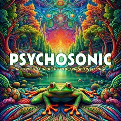 Psychosonic - Recorded at TRiBE of FRoG Spring Finale - April 2024