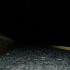 A Path to the Unknown World