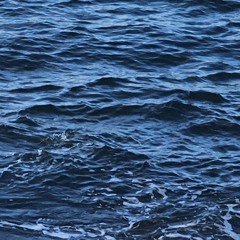 و ذا النون إذ ذهب مغاضبا و ظن أن لن نقدر عليه- سورة الأنبياء- جديد