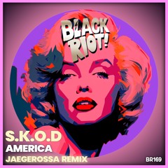 Black Riot 169 America - Jaegerossa Remix (teaser)