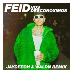 Feid - NOS DESCONOXIMOS (Jayceeoh & WALDN Remix)